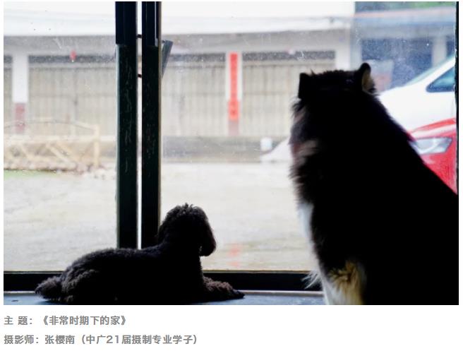 我的头像